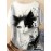 Plus Size - Women'S Plus Size Cat Print T-Shirt - Casual Crew Neck, Fabric, 95% Polyester 5% Spandex, Summer Animal Design with Floral Accents, Perfect for Outdoor and Travel, Casual Summer Wear | Playful Graphic Tee | Stretchy Fabric